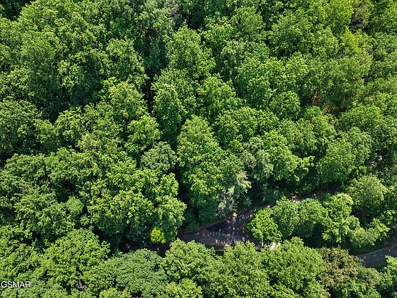 4th image of 15 Emerald Springs Loop Lot 15