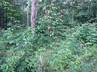 0 Water Guage Rd, Hayesville, NC 28904