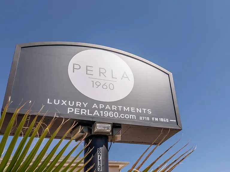 Perla 1960 — Photo 11