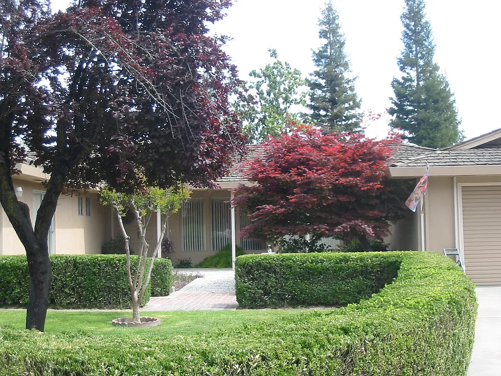 Property photo 4
