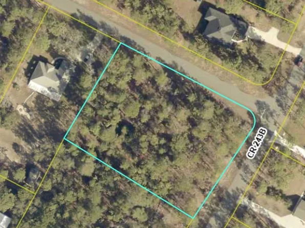 2005 County Road 243e Lot 3, Wildwood, FL 34785