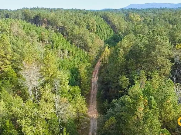 Paved Road Frontage, Fairmount, GA 30139