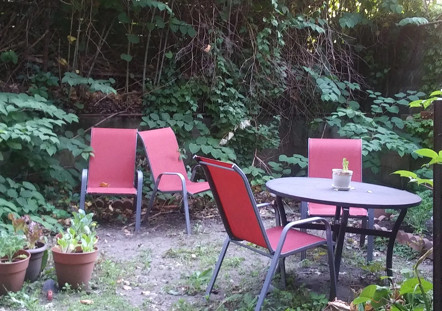 554 Lafayette Avenue — Photo 3