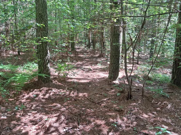 Airport Road Pca Lot 2, Rockwood, TN 37854