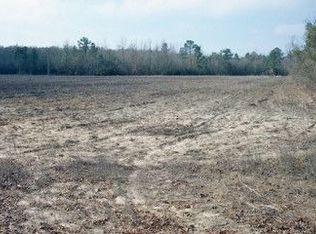 440 Arch Dr, Cross, SC 29436