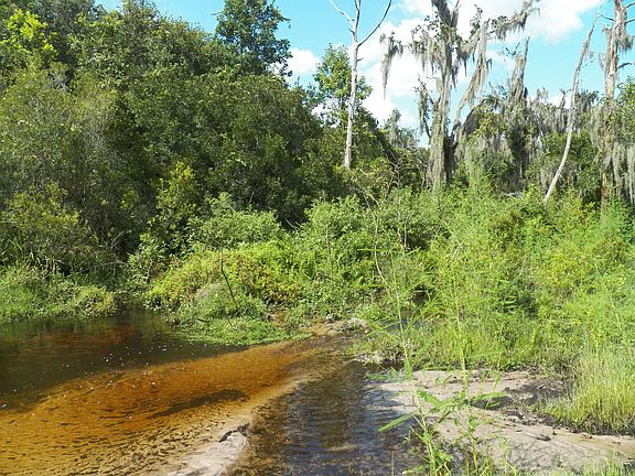 5th image of 23730 County Road 675