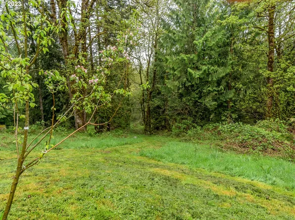 Nick Thomas Rd, Rainier, OR 97048