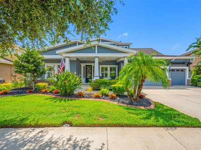 8312 Swiss Chard Cir, Land O Lakes, FL, 34637