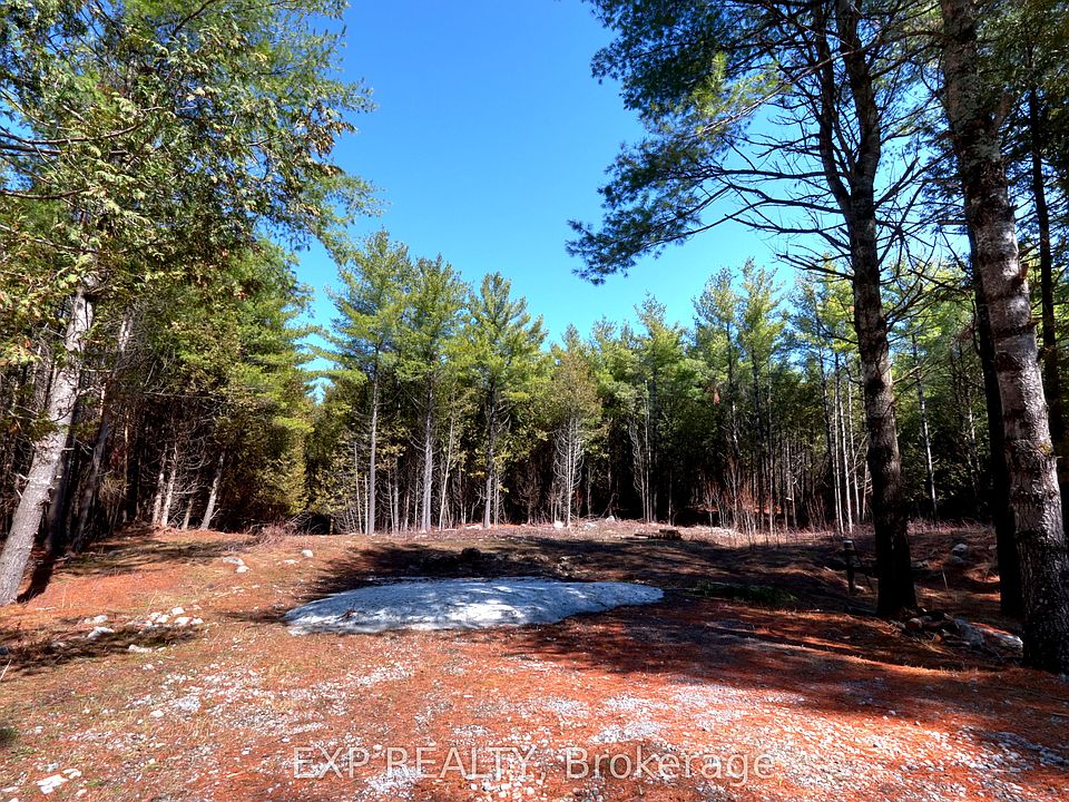 1st image of 593 County Road 40 Rd