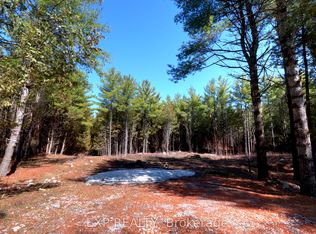 593 County Road 40 Rd, Douro Dummer, ON K0L2V0