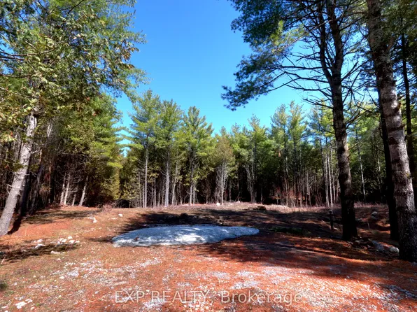 593 County Road 40 Rd, Douro Dummer, ON K0L 2V0