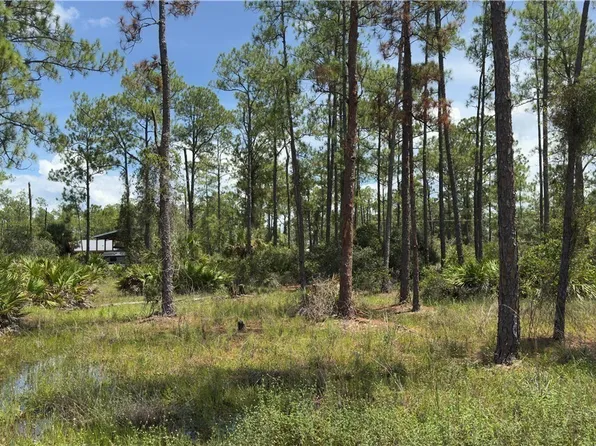 2210 Truman Ave, Alva, FL 33920