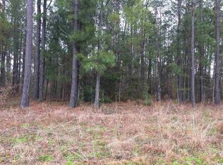 Tbd E Highway 19, Loris, SC 29569
