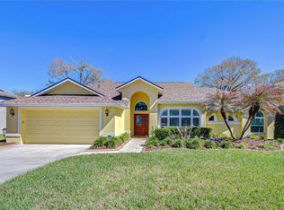 3901 Northridge Dr, Valrico, FL 33596