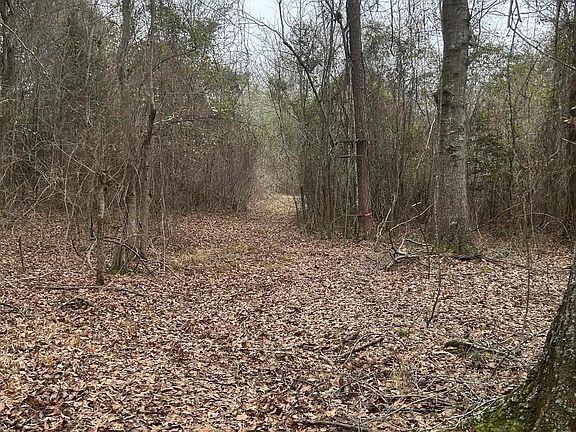 4th image of 1163 Old Ideal Rd