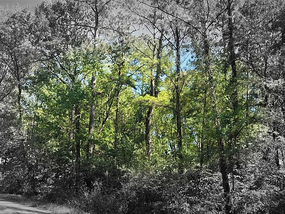 5th image of Cove Dr Lot 5