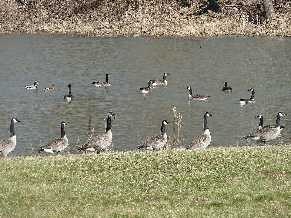 Lake View
