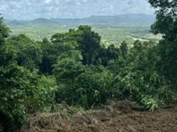 942 Guillermo Flores Lot 3, Las Piedras, PR 00778