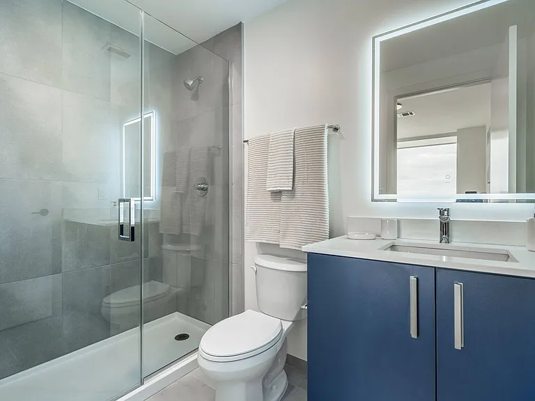 Bathroom and Walk-in Shower