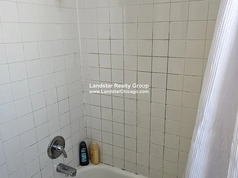 1427 N Wood St #3F — Photo 8