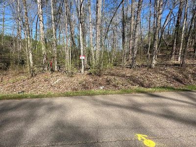 5 Bruton Branch Rd, Savannah, TN, 38372