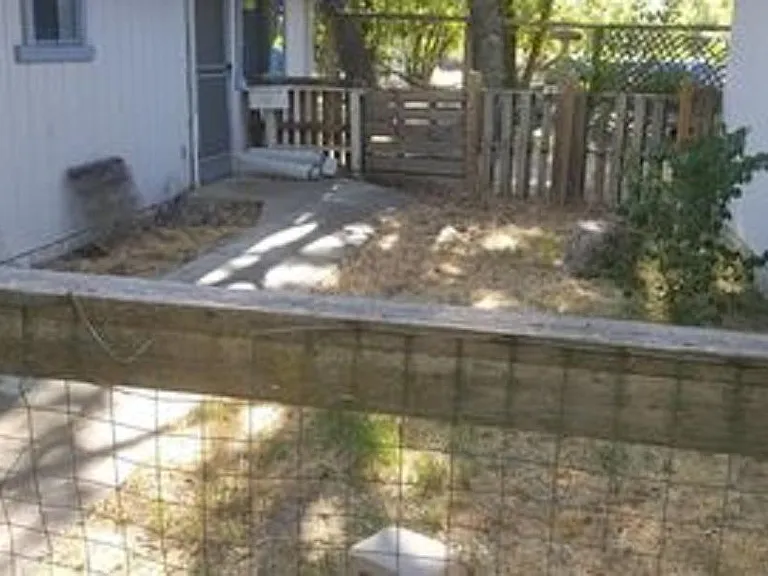 Front yard