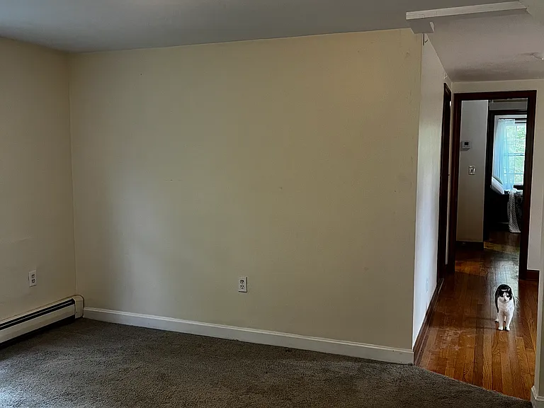 336 Colonel Ledyard Hwy — Photo 26