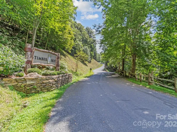 9 Wormy Chestnut Rd, Burnsville, NC 28714