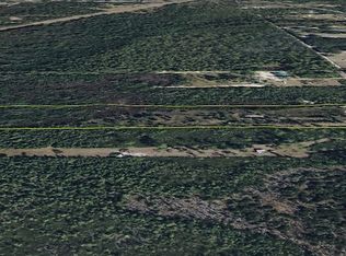 22370 NE 130th Ave, Fort Mc Coy, FL 32134