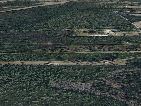 22370 NE 130th Ave, Fort Mc Coy, FL 32134