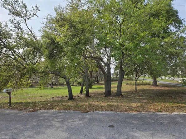 Petes Ln, Davenport, FL 33837