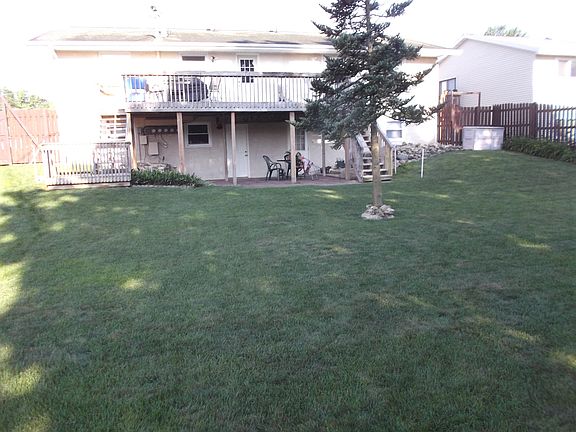 Back Yard in the morning