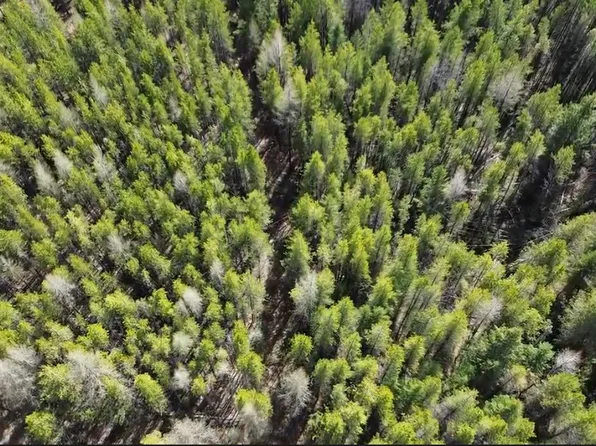 Nhn Iron Horse Rd, Trego, MT 59934