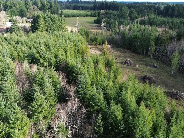 9605 Prather Road SW, Rochester, WA 98579