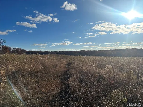 11918 Springtown Rd, Mineral Pt, MO 63660