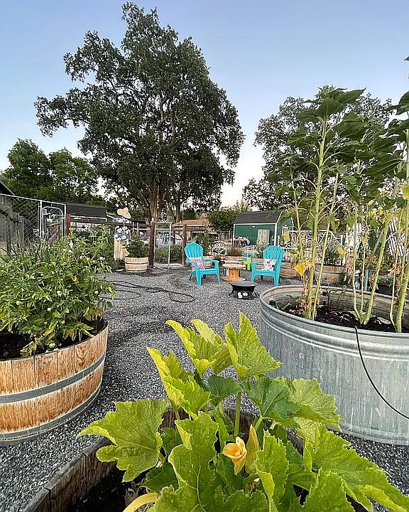 Garden view from very back