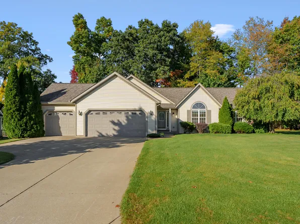 1010 Goodsell St, Otsego, MI 49078