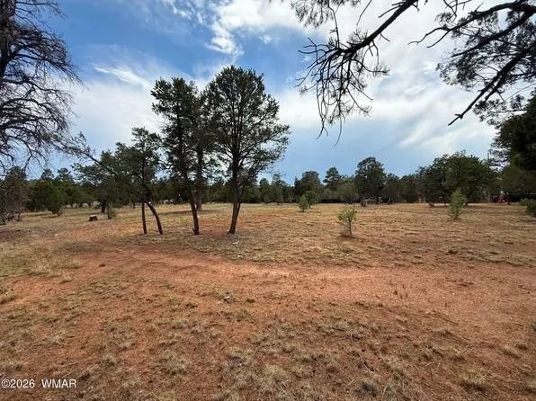 3048 Chevelon Rd, Overgaard, AZ 85933