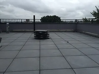 Rented by P Management