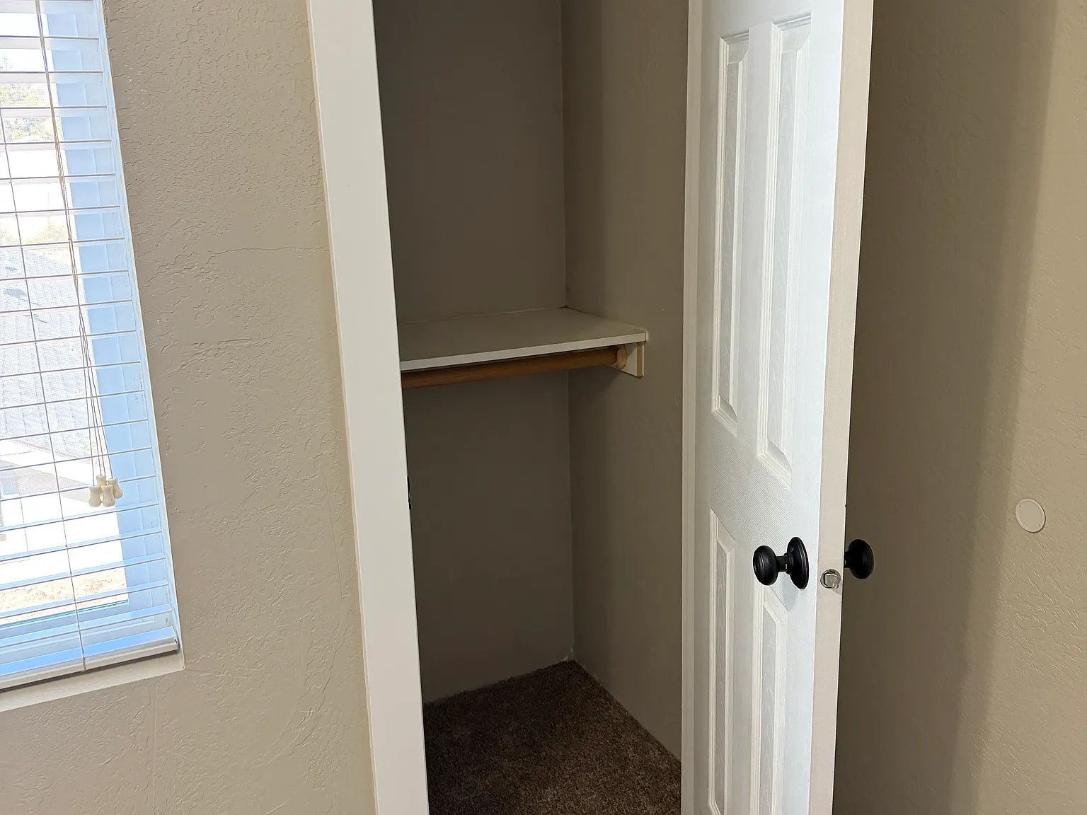 1 bed, 700 sqft, $980 — Photo 2