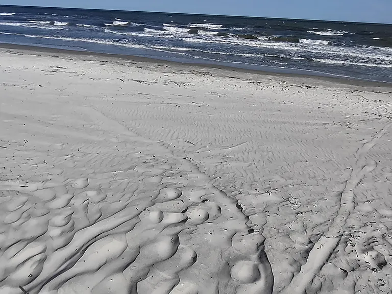 Sandy Beaches