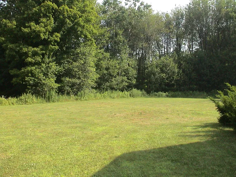 113 Leverett Rd #1 — Photo 3