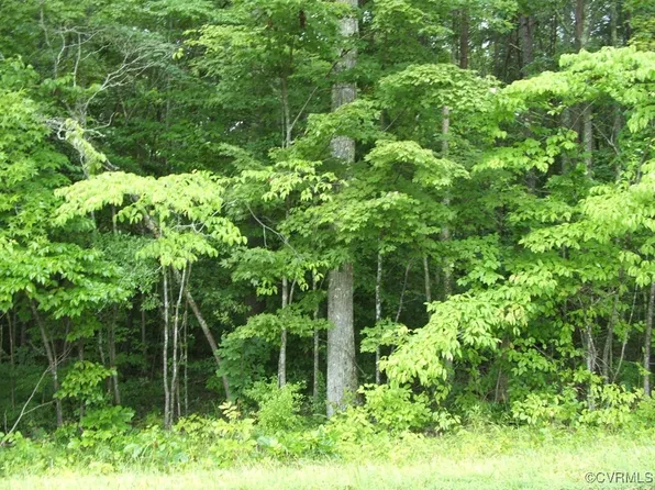 0 Mossingford Rd, Saxe, VA 23967