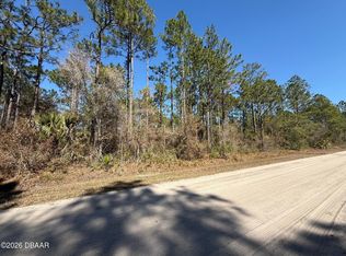 4664 Clove Ave, Bunnell, FL 32110