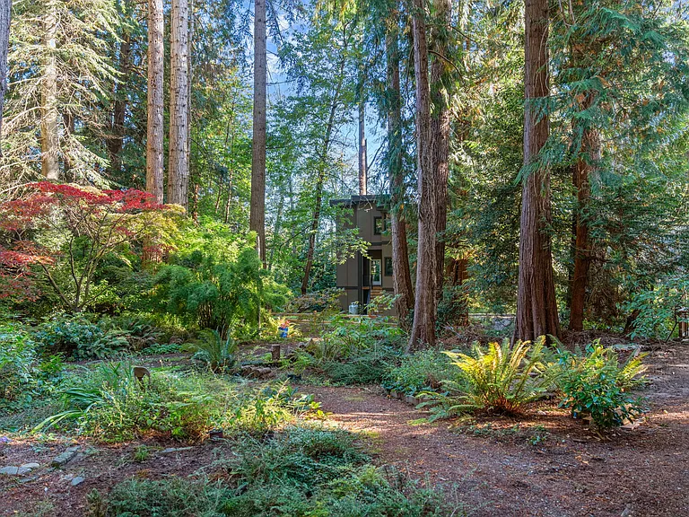 Backyard view from Back deck