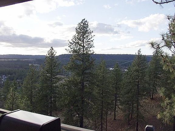 View 3
