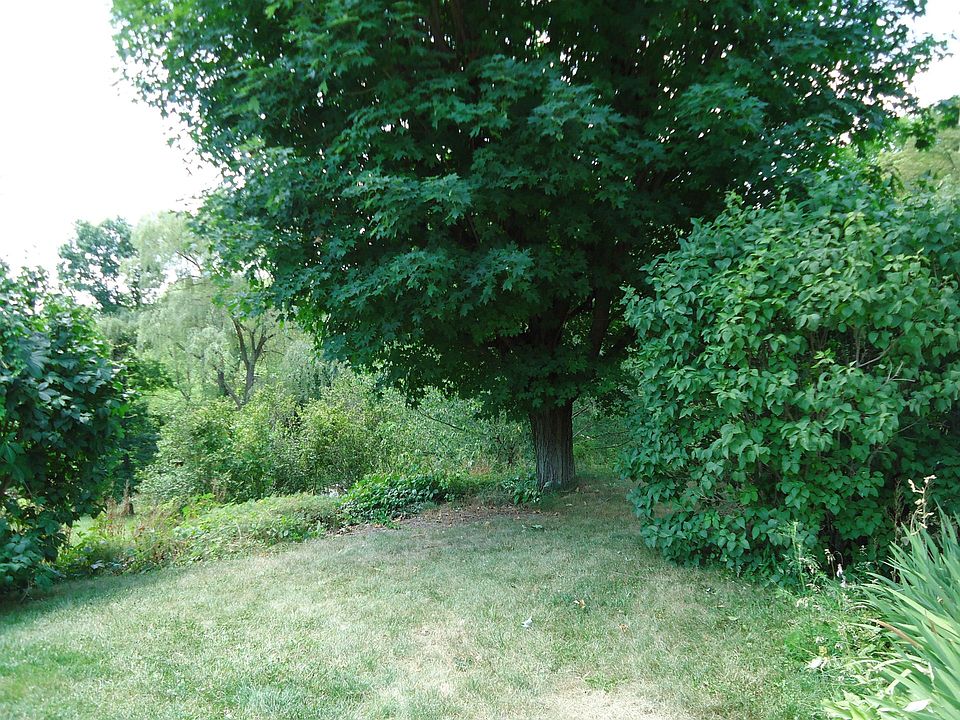 2nd image of 110 Woodland Rd