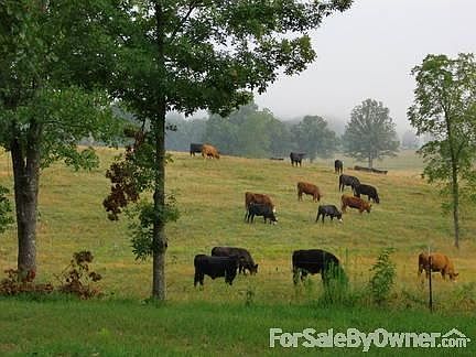 Pasture