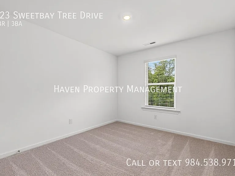 323 Sweetbay Tree Dr — Photo 23