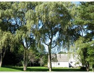 4th image of 24 Marian Dr